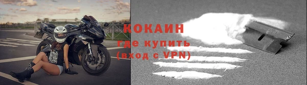 трава Кукмор