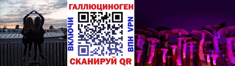 Псилоцибиновые грибы Psilocybe  хочу   Елец 