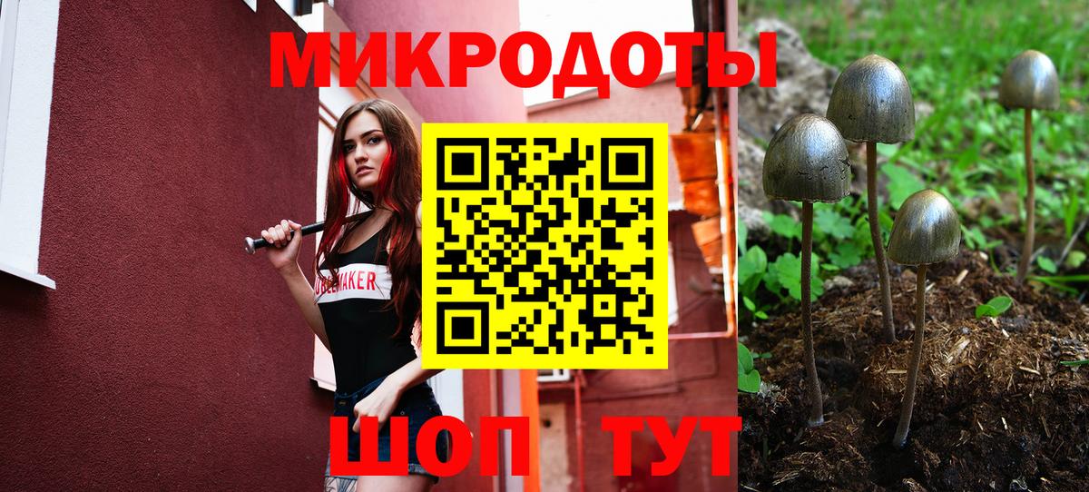Псилоцибиновые грибы мицелий Елец