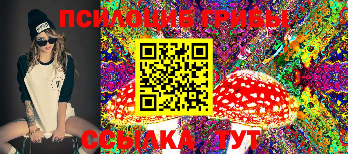 Елец  Псилоцибиновые грибы MAGIC MUSHROOMS  Вход с VPN 